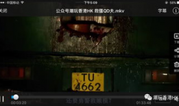 僵在线观看粤语,穿越时空的僵尸传奇